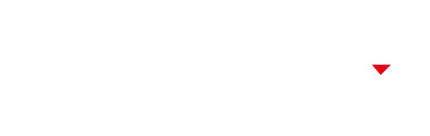 pneumatici gripmax logo2