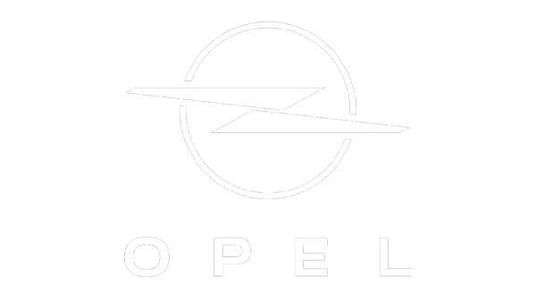 Cerchi in lega e ferro Opel