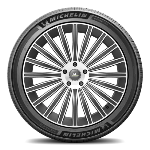 immagine frontale pneumatico michelin primacy 5