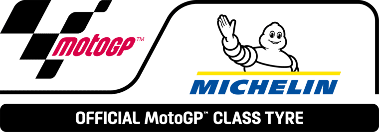 pneumatici michelin imm3